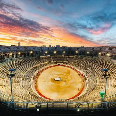 Flamingo Gare Centre
